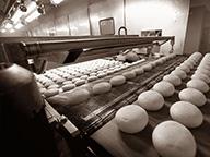 Notre savoir-faire